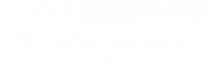 Schody Drewniane Olsztyn - Logotyp